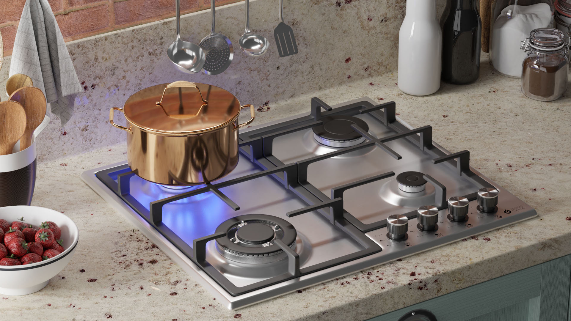 tgs_9021_ix_built_in_hob_2