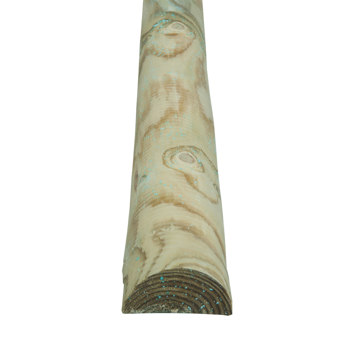 Μισόξυλο_-_μισός_κορμός