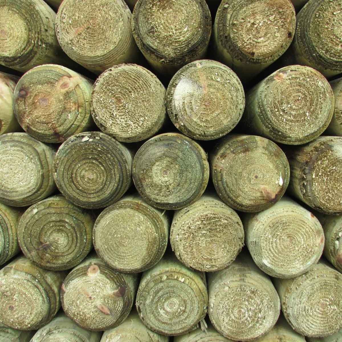 Ξύλινος_Πάσσαλος_O10εκ