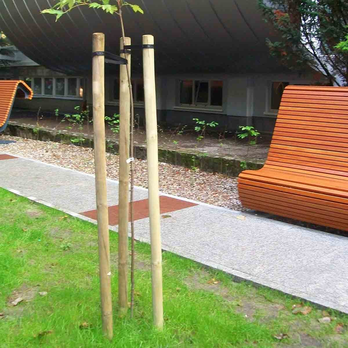 Ξύλινος_Πάσσαλος_O4