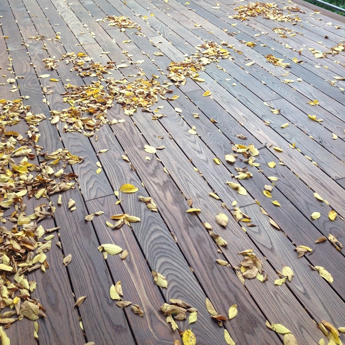 Τάβλα_πατώματος_Thermo_ash_λείο