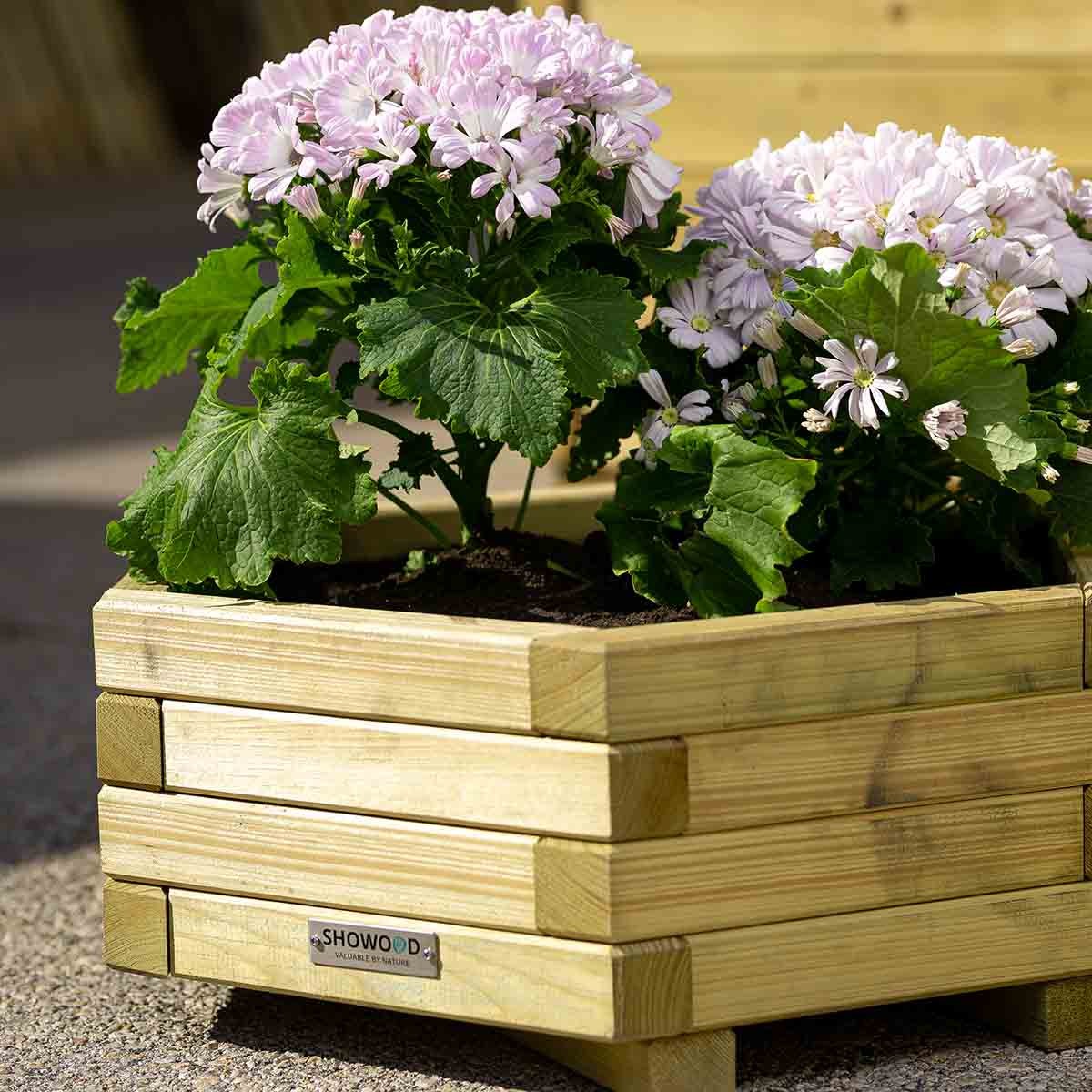 γλάστρα-εξάγωνη-χαμηλή-50473