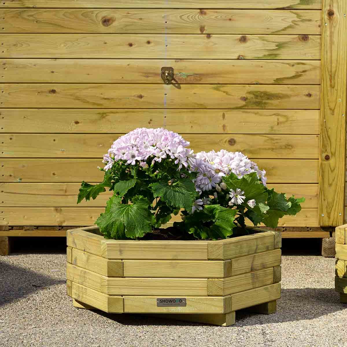 γλάστρα-εξάγωνη-χαμηλή-50473