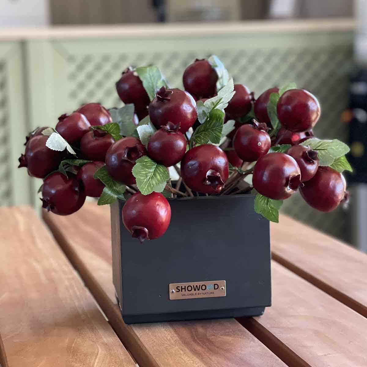 γλαστράκι-κασπώ-10-38579