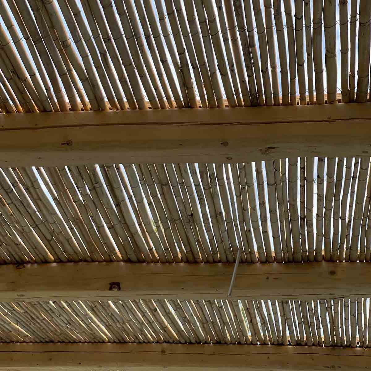 καλάμι-ολόκληρο-διετές-o20-25μμ