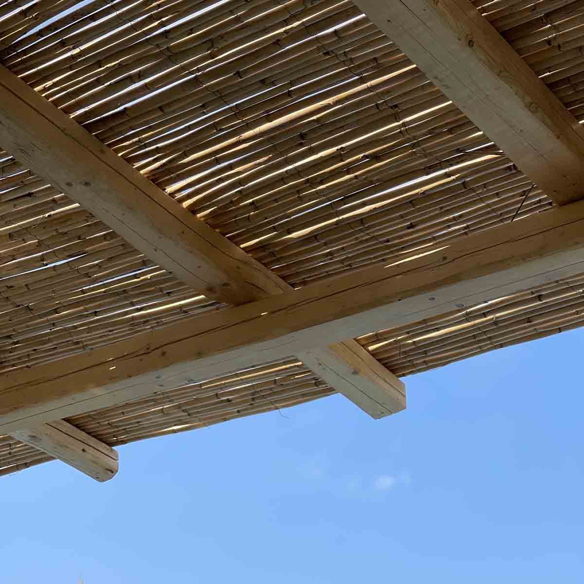 καλάμι-ολόκληρο-διετές-o20-25μμ