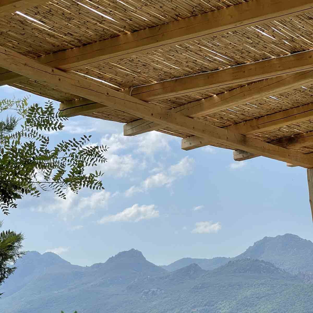 καλάμι-ολόκληρο-διετές-o20-25μμ