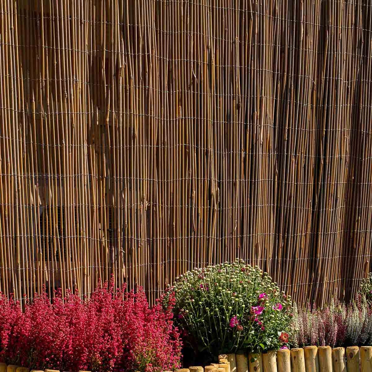 καλαμωτή-λυγαριά-βέργα-λεπτοκαρυάς-μασίφ