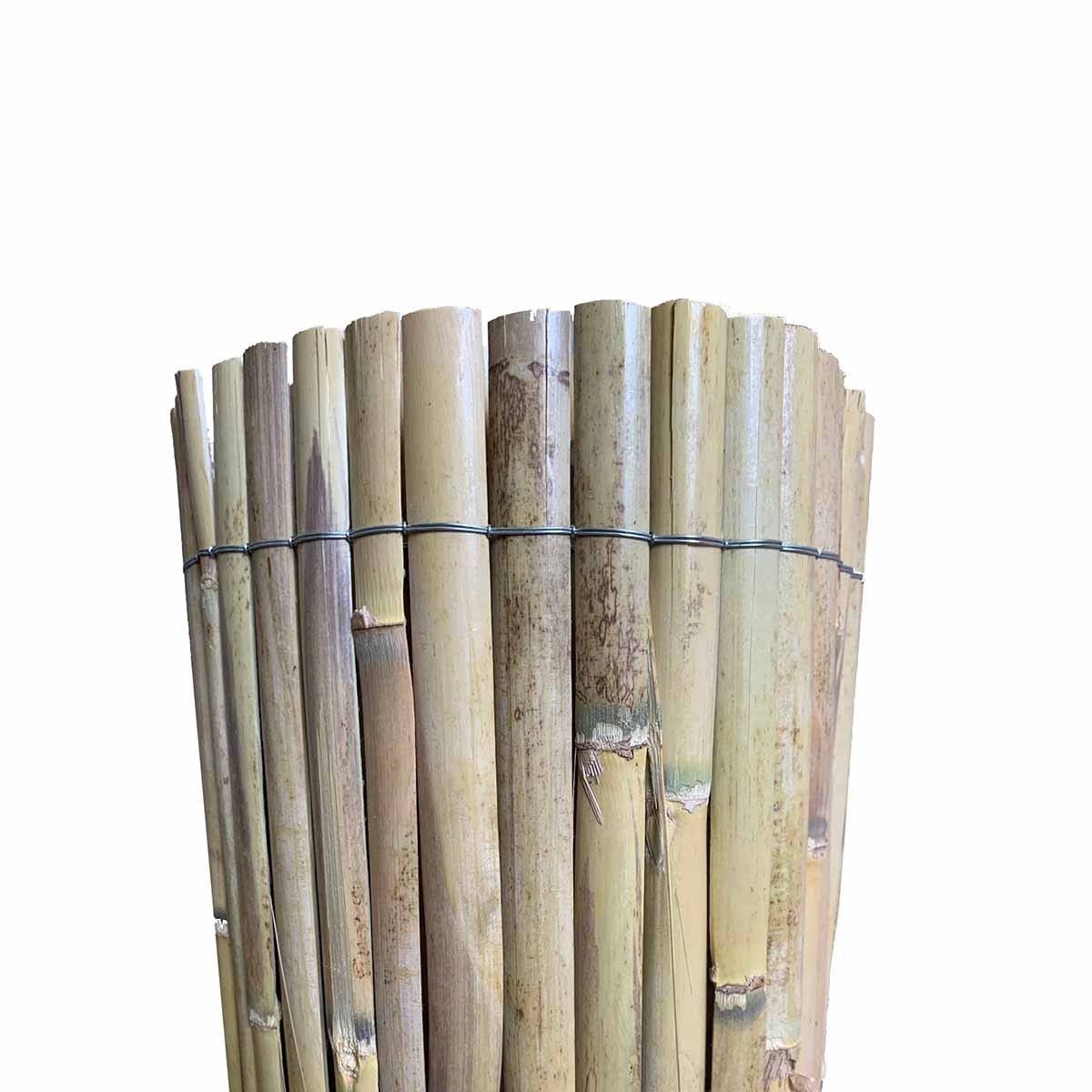 καλαμωτή-με-μισό-καλάμι-διετές