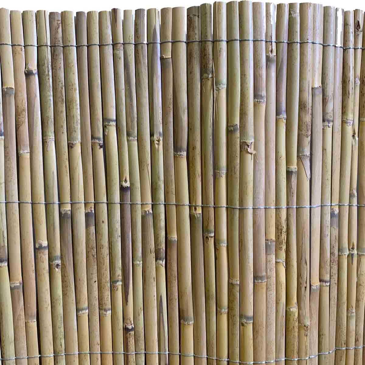 καλαμωτή-με-μισό-καλάμι-διετές