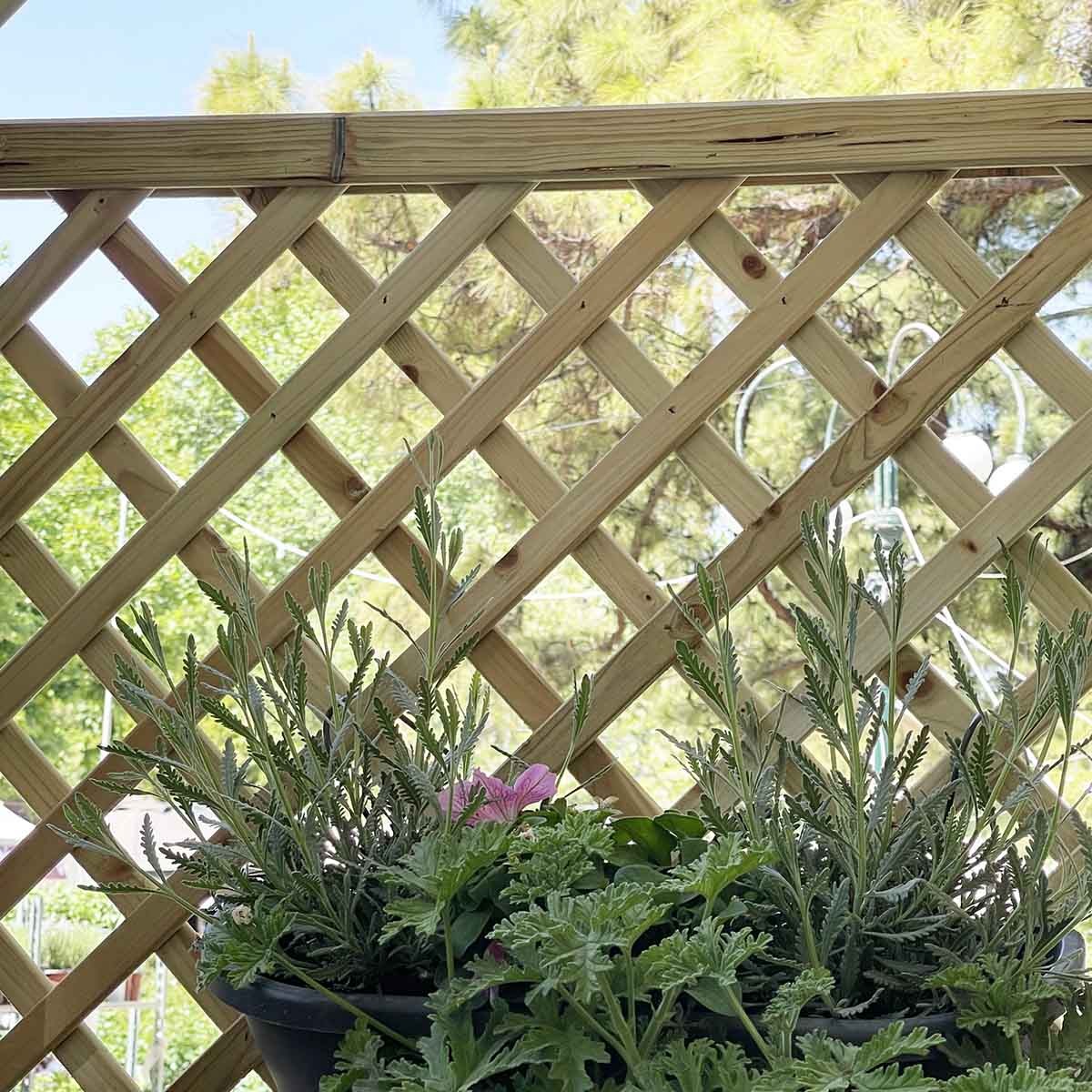 καφασωτό-διαγώνιο-6×6