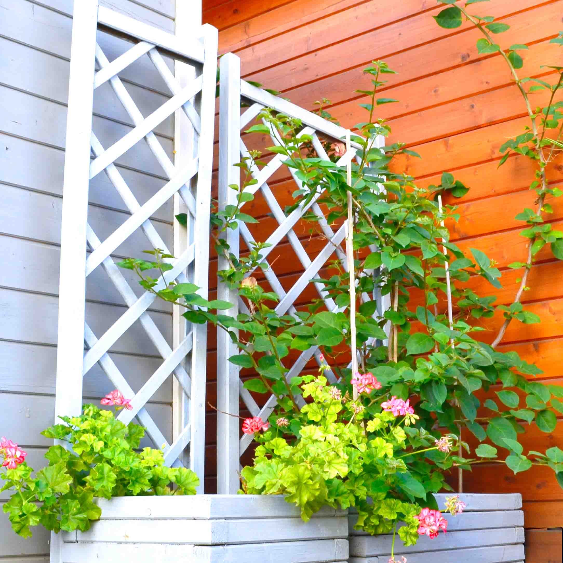 καφασωτό-ξύλινης-γλάστρας-120-x-110εκ