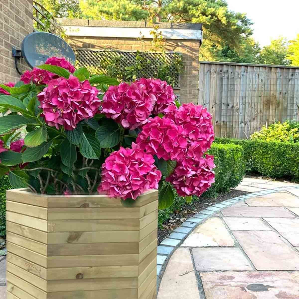 ξυλινη-γλαστρα-εξαγωνη-56υ-x-φ65εκ-με-εσωτερικεσ-γωνιεσ-50483