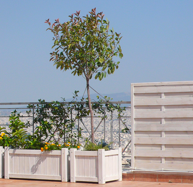 ξύλινη-γλάστρα-γρανάδα