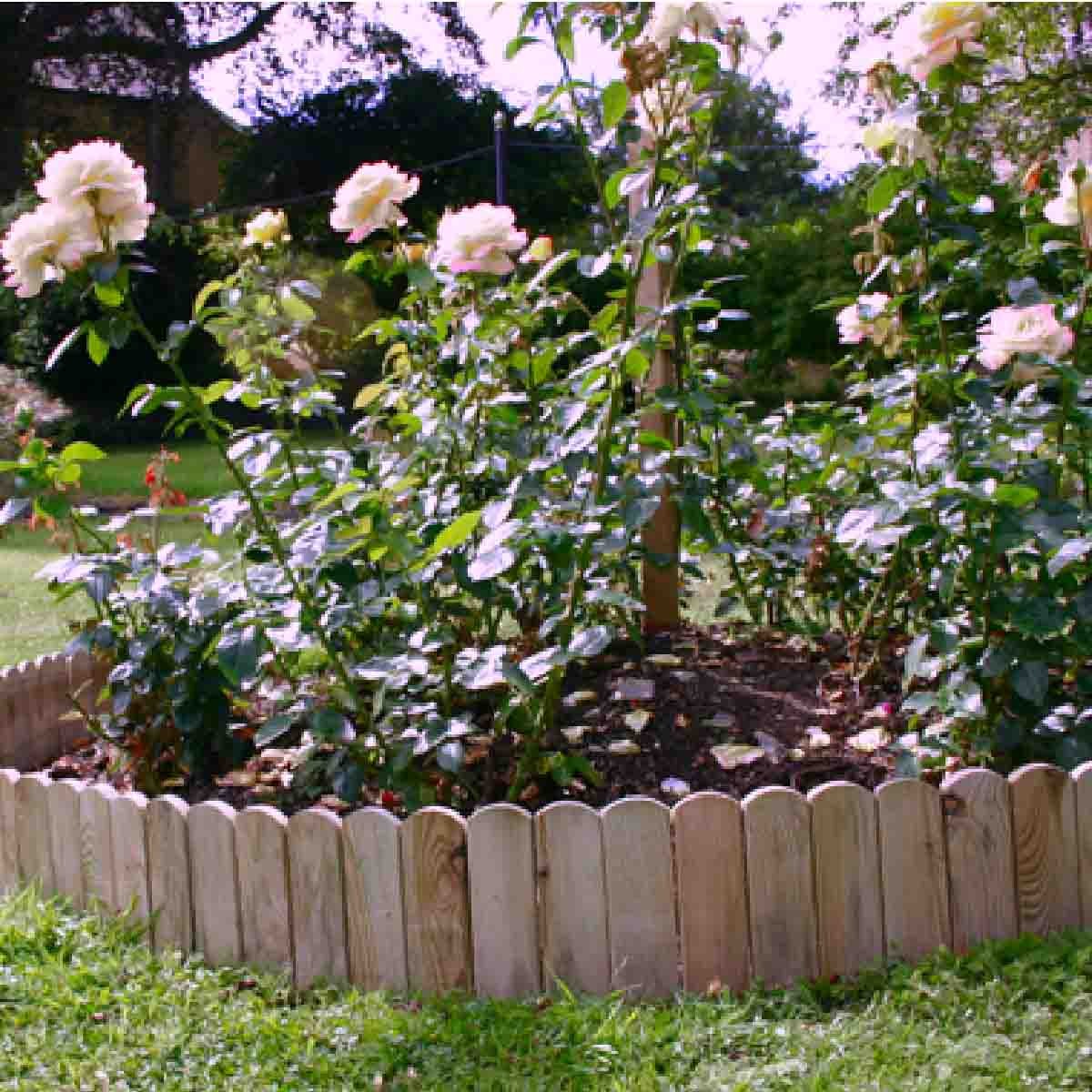 ρολ-μπαρ-τάβλα-30y-x-150εκ